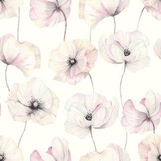Persian Buttercup