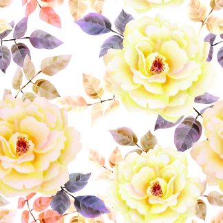 Daria Watercolor Roses Peel and Stick Wallpaper